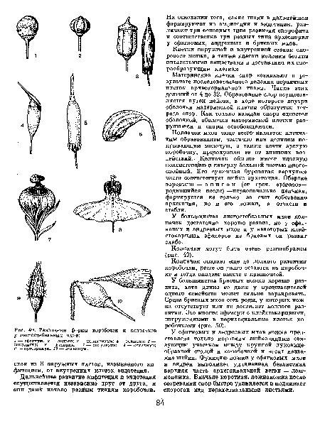 Колпачки могут быть очень разнообразны (рис. 49).