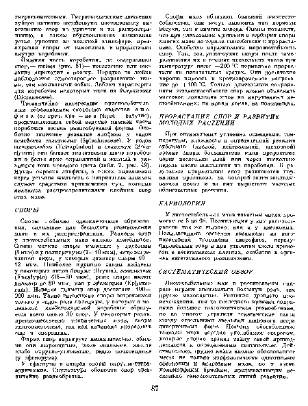 Нижняя часть коробочки, не содержащая спор,— шейка (рис. 51)— постепенно или внезапно переходит в ножку. Нередко на шейке наблюдается одностороннее разрастание ткани, так называемый зобик. Зобики характерны для коробочек некоторых мхов из дикрановых (Б гапасеае).