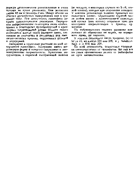 По всей вероятности, псилотовые произошли непосредственно от риниофитов. Но они все же ушли сравнительно далеко от риниофитов по пути специализации.