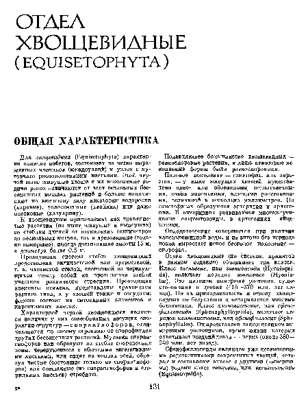 Половое поколение — гаметофит, или заросток, — у ныне живущих хвощей представлено одно- или обоеполыми недолговечными, очень маленькими, зелеными растеньицами, величиной в несколько миллиметров. На гаметофитах образуются антеридии и архего-нии. В антеридиях развиваются многожгути-ковые сперматозоиды, в архегониях — яйцеклетки.