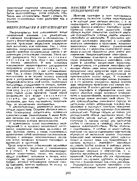 У примитивных групп голосеменных мегаспорангий (т. е. нуцеллус семязачатка) открывается посредством сквозных пыльцевых камер, Мужские гаметы у таких голосеменных представляют собой подвижные сперматозоиды, которые с помощью многочисленных жгутиков легко достигают женского гаметофита и проникают в архегоний.