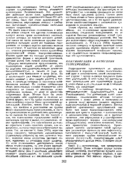 Таким образом, мы неизбежно приходим к выводу, что голосеменные произошли не от настоящих (типичных) папоротников, но от одной из боковых разноспоровых ветвей древнейших папоротниковидных растений. Это еще раз подтверждает сформулированное известным палеонтологом Э. К о п о м (1904) правило, согласно которому в процессе эволюции новые группы организмов обычно происходят не от высших представителей предкового таксона, а от сравнительно наименее специализированных его представителей.