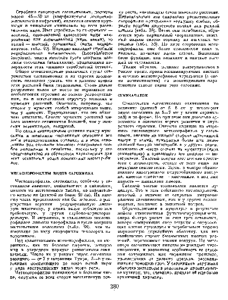 Таким образом, начиная развертываться в разное время, кроны ассимилирующих листьев и «кроны» мегаспорофиллов чередуются (в своем возникновении) на моноподиально нарастающем стволе видов рода саговник.