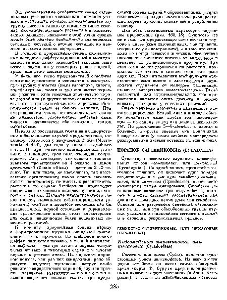 Для всех саговниковых характерно подземное прорастание (рис. 168, 18). Сущность его не в том, что прорастающее семя остается глубоко в почве (семя саговниковых, как правило, прорастает у ее поверхности), а в том, что семядоли до конца остаются в семени, обеспечивая поглощение запасных веществ из эндосперма и передачу их развивающемуся проростку. При этом семя может держаться на растении, продолжая его питать в течение года или даже двух лет. После выполнения этой функции опустошенное семя вместе с засыхающими семядолями отделяется от молодого растеньица, ставшего совершенно самостоятельным. Такой подземный, или скрытосемядольный, тип прорастания является очень древним и, можно сказать, исходным у семенных растений.