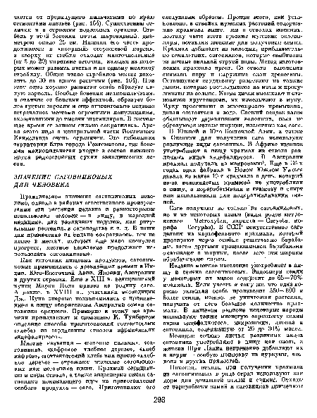 Саге получают не только из саговниковых, но и из некоторых пальм (виды родов метро-ксилон — Ме1гоху1оп, кариота — СагуоЬа, ко-рифа — СогурЬа). В СССР искусственное саго делают из картофельного крахмала, который протирают через особые решетчатые барабаны, затем другими вращающимися барабанами окатывают в шарики, после чего эти шарики обрабатывают паром.