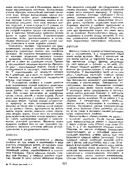 Постоянпое наличие нормальных (не травматических) смоляных каналов во вторичной древесине характерно только для семейства сосновых. Но огромное большинство хвойных, не имеющих нормально смоляных каналов в древесине, обладает способностью производить их в ответ на поранения ствола. Однако у араукариевых смоляные каналы не образуются даже в поврежденных стеблях. Смола у них откладывается в трахеидах, окаймляющих лучи. У подокарповых нет смоляных каналов ни в древесине, ни в коре, но имеются каналы в листьях и часто встречаются паренхимные клетки, содержащие смолу.