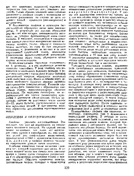 Хвойные — растения ветроопыляемые. Это означает, что пыльца переносится на семязачатки движением воздуха. На первый взгляд может показаться, что здесь все происходит очень просто и однообразно, но, как показал целый ряд специальных исследований, подытоженных в 1945 г. ирландским ботаником Д ж. Дойлом, у хвойных имеются несколько существенно разных типов опыления.