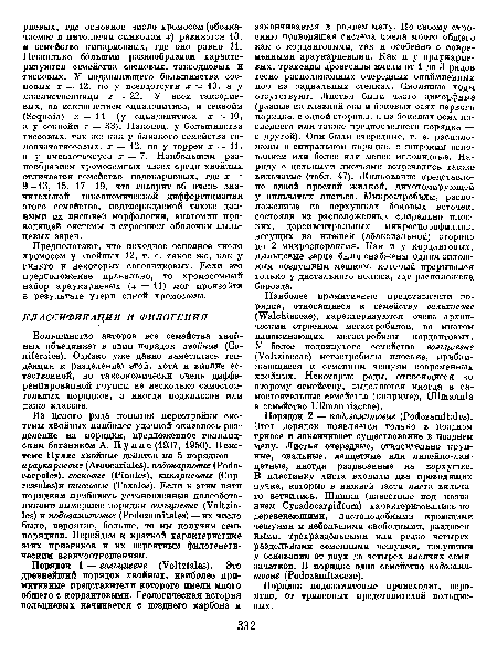 Предполагают, что исходное основное число хромосом у хвойных 12, т. е. такое же, как у гинкго и некоторых саговниковых. Если это предположение правильно, то хромосомный набор араукариевых (х = 11) мог произойти в результате утери одной хромосомы.