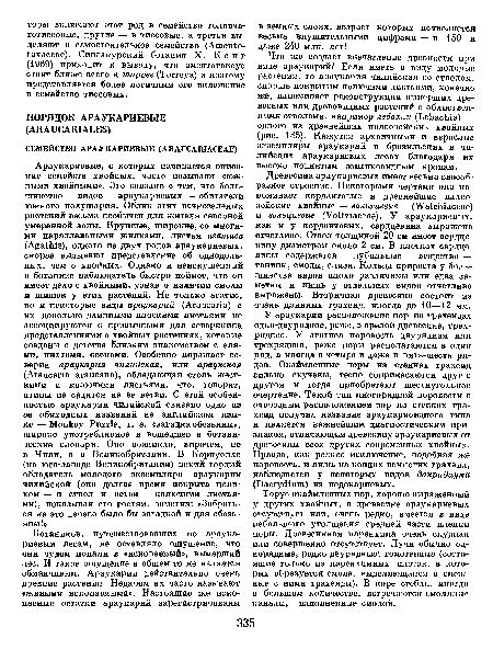 Торус окаймленных пор, хорошо выраженпый у других хвойных, в древесине араукариевых отсутствует или, очень редко, имеется в виде небольшого утолщения средпей части пленки поры. Древесинная паренхима очень скудная или совершенно отсутствует. Лучи обычно однорядные, редко двурядные; гомогенные (состоящие только из паренхимных клеток, в которых образуется смола, выделяющаяся в смежные с ними трахеиды). В коре стебля, иногда в большом количестве, встречаются смоляные каналы, наполненные смолой.