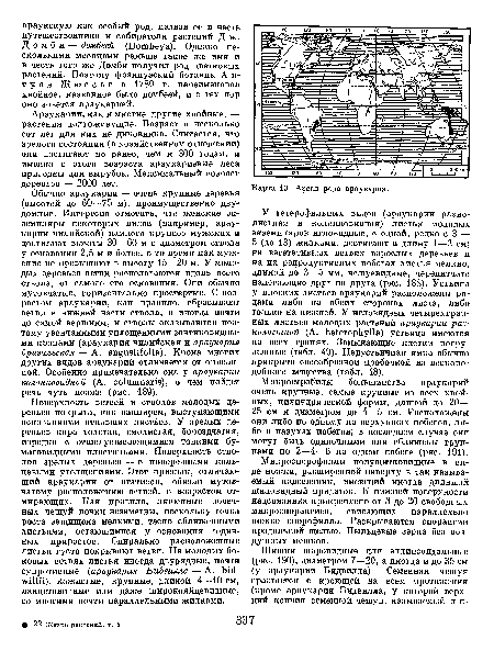 У гетерофильных видов (араукарии разнолистная и колонновидная) листья молодых экземпляров игловидные, с одной, редко с 3 — 5 (до 13) жилками, достигают в длину 1—2 см; на вегетативных ветвях взрослых деревьев и на их репродуктивных побегах листья мелкие, длиной до 3—5 мм, чешуевидные, черепитчато налегающие друг на друга (рис. 188). Устьица у плоских листьев араукарий расположены рядами либо на обеих сторонах листа, либо только на нижней. У игловидных четырехгранных листьев молодых растений араукарии разнолистной (A. heterophylla) устьица имеются на всех гранях. Замыкающие клетки погруженные (табл. 49). Надустьичная ямка обычно прикрыта своеобразной пробочкой из воскоподобного вещества (табл. 48).