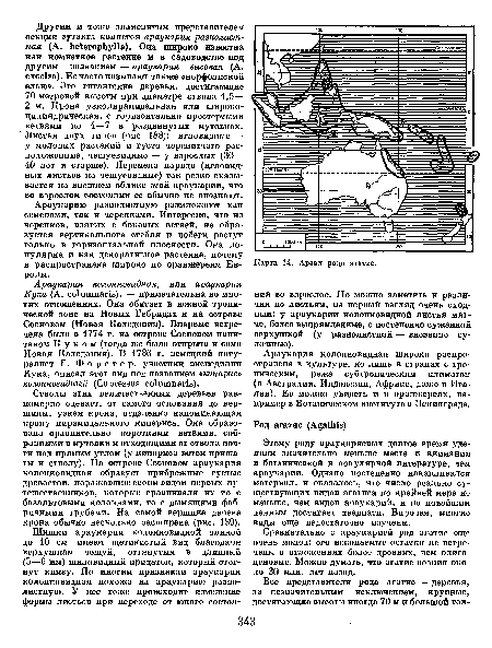 Сравнительно с араукарией род агатис еще очень молод: его ископаемые остатки не встречены в отложениях более древних, чем олиго-ценовые. Можно думать, что агатис возник около 30 млн. лет назад.