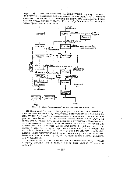 Схема биохимической очистки сточных вод в аэротенках