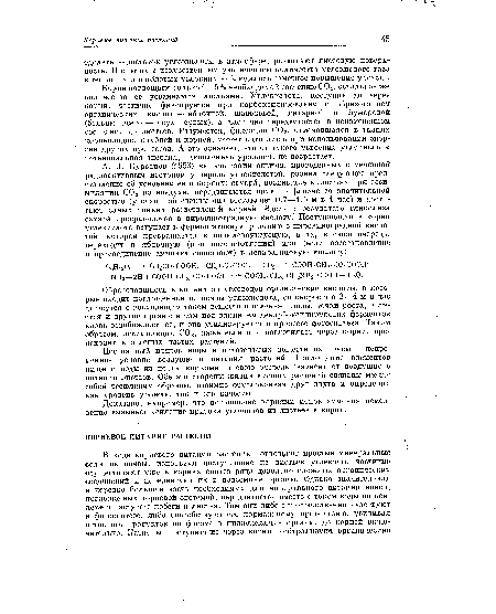 Корни поглощают только !—5% необходимой растению СО2, остальное же количество ее усваиваемся листьями. Углекислота, поступившая через корни, частично фиксируется при карбоксилировании с образованием органических кислот — яблочной, щавелевой, янтарной и фумаровой (больше всего — двух первых), а частично передвигается в неизмененном состоянии до листьев. Разумеется, фиксация С02, отмечавшаяся в тканях корнеплодов, клубней и корней, может идти лишь при использовании энергии других процессов. А это означает, что от такого усвоения углекислоты потенциальная энергия, накопленная урожаем, не возрастает.