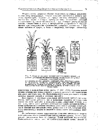 Схема исследования значения контакта корней с почвой при усвоении растениями обменнопоглощенных почвой ионов (на примере суспензии, насыщенной калием)