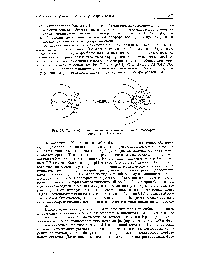 Схема обменного поглощения почвой анионов фосфорной кислоты (по Иванову).
