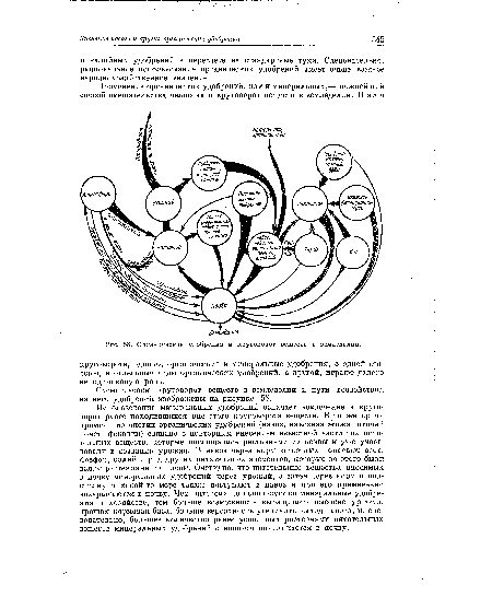 Схематически круговорот веществ в земледелии и пути воздействия аа него удобрений изображены на рисунке 58.