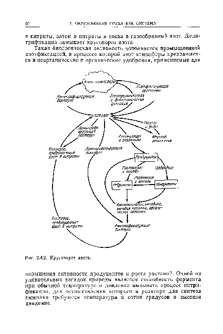 Круговорот азота.