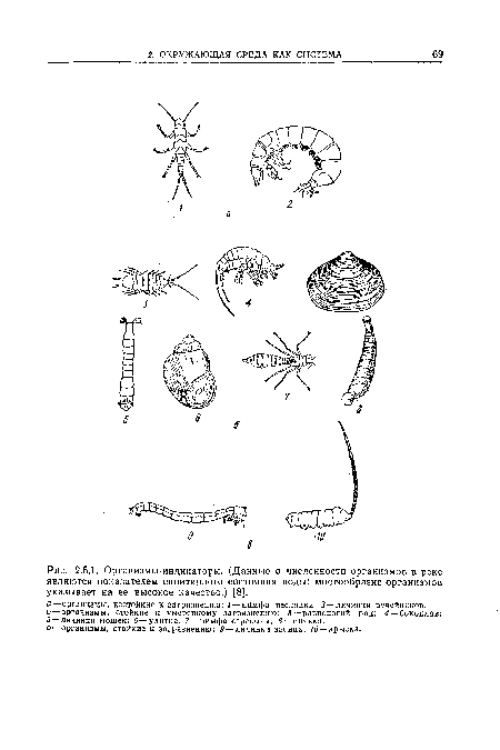 Организмы-индикаторы. (Данные о численности организмов в реке являются показателем санитарного состояния воды