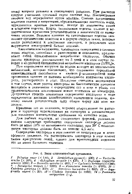 Содержание кислорода в воде зависит от температуры и атмосферного давления. На растворимость кислорода в воде влияет также присутствие солей, однако для пресноводных водоемов это не имеет большого значения.