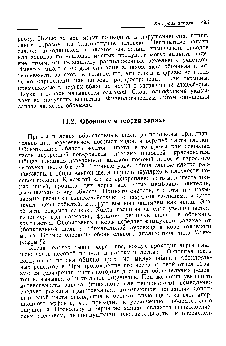 Правая и левая обонятельные щели расположены приблизительно над пересечением носовых ходов и верхней части глотки. Обонятельная область желтого цвета, в то время как основная часть внутренней поверхности носовых полостей красноватая. Общая площадь поверхности каждой носовой полости взрослого человека около 6,5 см2. Длинные узкие обонятельные клетки расположены в обонятельной щели перпендикулярно к плоскости носовой полости. К каждой клетке прикреплено пять или шесть тонких нитей, проникающих через клеточные мембраны эпителия, выстилающего эту область. Принято считать, что эти так называемые реснички взаимодействуют с пахучими частицами и дают начало цепи событий, которую мы воспринимаем как запах. Эта область покрыта слизью. Когда толщина ее слоя увеличивается, например при насморке, функция ресничек падает и обоняние ухудшается. Обонятельный нерв передает «импульсы запаха» от обонятельной щели к обонятельной луковице в коре головного мозга. Полное описание обонятельного анализатора дано Монк-рифом [2].