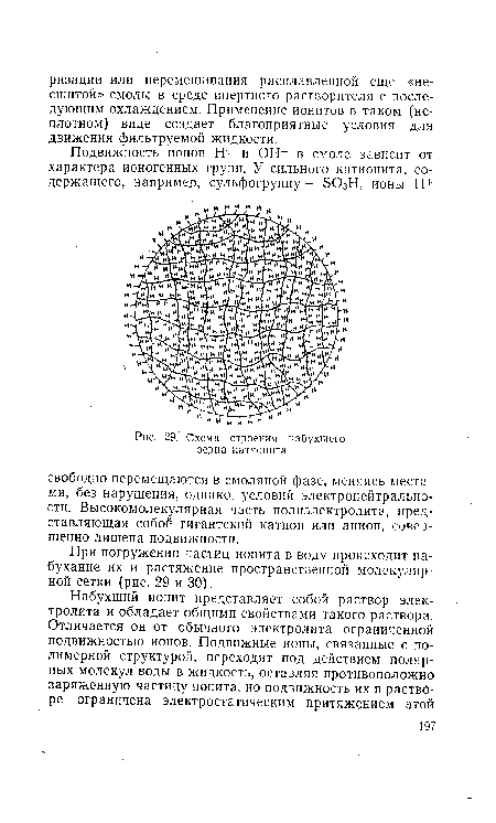 Схема строения набухшего зерна катионита