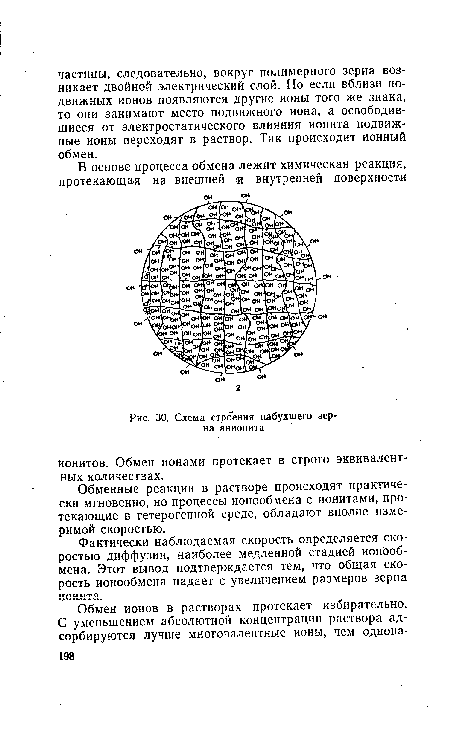 Схема строения набухшего зерна анионита