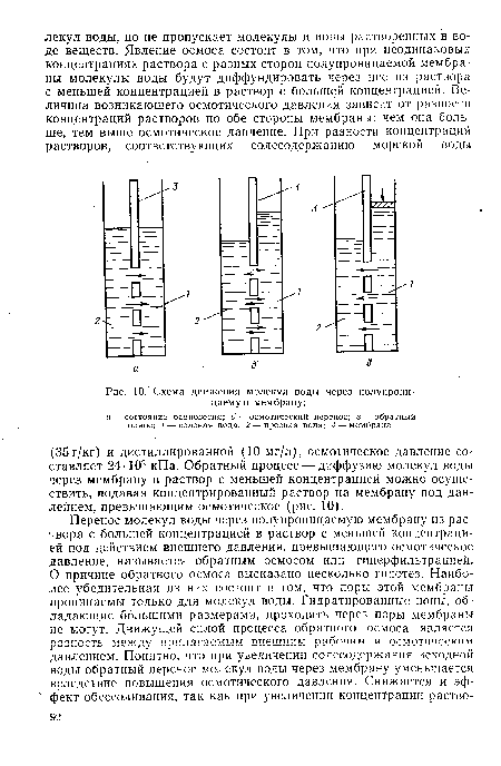 Схема движения молекул воды через полупроницаемую мембрану