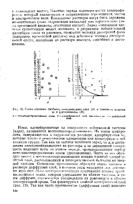 Схема строения двойного электрического слоя (Л) и изменение величин