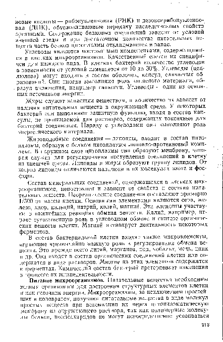 Состав минеральных соединений, содержащихся в клетках микроорганизмов, непостоянен и зависит от свойств и состава питательных веществ. Неорганические соединения составляют примерно 1/300 от массы клетки. Основными элементами являются сера, железо, хлор, кальций, натрий, калий, магний. Эти элементы участвуют в важнейших реакциях обмена веществ. Калий, например, играет существенную роль в углеводном обмене и синтезе органических веществ клетки. Магний активирует деятельность некоторых ферментов.