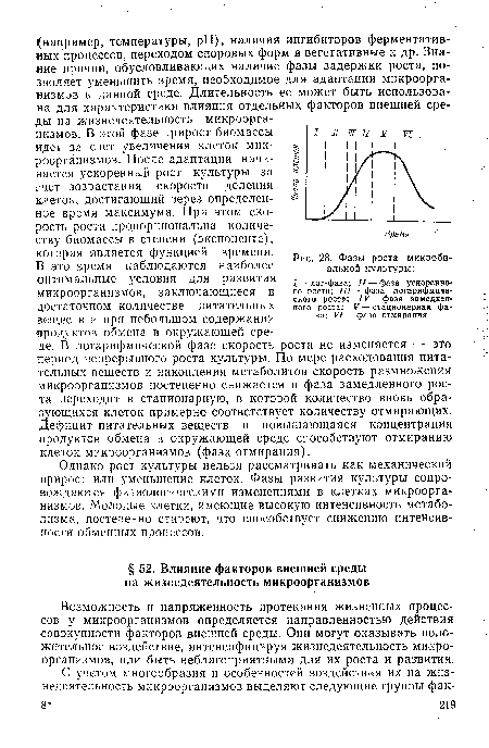 Однако рост культуры нельзя рассматривать как механический прирост или уменьшение клеток. Фазы развития культуры сопровождаются физиологическими изменениями в клетках микроорганизмов. Молодые клетки, имеющие высокую интенсивность метаболизма, постепенно стареют, что способствует снижению интенсивности обменных процессов.