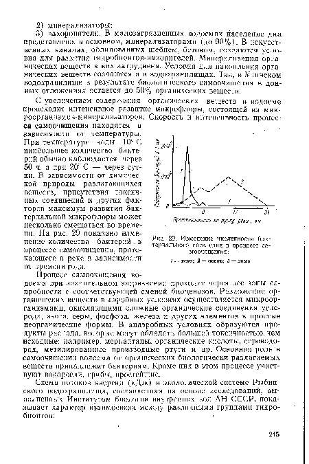 При температуре воды 10° С наибольшее количество бактерий обычно наблюдается через 50 ч, а при 20° С — через сутки. В зависимости от химической природы разлагающихся веществ, присутствия токсичных соединений и других факторов максимум развития бактериальной микрофлоры может несколько смещаться во времени. На рис. 29 показано изменение количества бактерий в процессе самоочищения, протекающего в реке в зависимости от времени года.