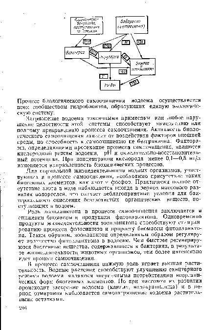 Для нормальной жизнедеятельности водных организмов, участвующих в процессе самоочищения, необходимо присутствие таких биогенных элементов, как азот и фосфор. Практически полное отсутствие азота в воде наблюдается иногда в период массового развития водорослей, что создает неблагоприятные условия для бактериального окисления безазотистых органических веществ, поступающих в водоем.