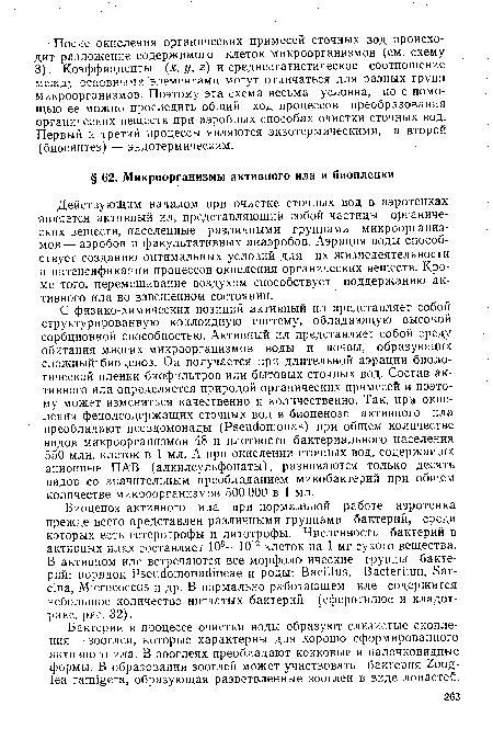 Действующим началом при очистке сточных вод в аэротенках является активный ил, представляющий собой частицы органических веществ, населенные различными группами микроорганизмов— аэробов и факультативных анаэробов. Аэрация воды способствует созданию оптимальных условий для их жизнедеятельности и интенсификации процессов окисления органических веществ. Кроме того, перемешивание воздухом способствует поддержанию активного ила во взвешенном состоянии.