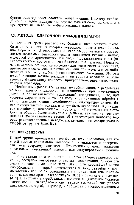 К этой группе принадлежат все формы иммобилизации, при которой клетки каким-либо способом прикрепляются к поверхности или твердому носителю. Прикрепление может являться следствием естественной адгезии или индуцироваться химически.