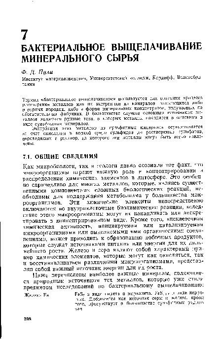 Как микробиологи, так и геологи давно осознали тот факт, что микроорганизмы играют важную роль в концентрировании и распределении химических элементов в литосфере. Это особенно справедливо для многих металлов, которые, являясь существенными компонентами сложных биологических реакций, необходимы для поддержания метаболизма у большинства микроорганизмов. Эти химические элементы непосредственно включаются во внутриклеточные биохимические реакции, вследствие этого микроорганизмы могут их накапливать или экскре-тировать в концентрированном виде. Кроме того, внеклеточная химическая активность, инициируемая или катализируемая микроорганизмами или выделяемыми ими органическими соединениями, может приводить к образованию побочных продуктов, которые служат источниками питания или энергии для их дальнейшего роста. Железо и сера являют собой характерный пример химических элементов, которые могут как окисляться, так и восстанавливаться различными микроорганизмами, представляя собой важный источник энергии для их роста.