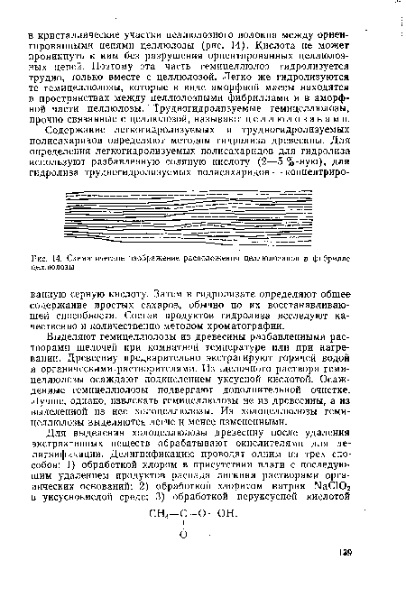 Схематическое изображение расположения целлюлозанов в фибрилле целлюлозы