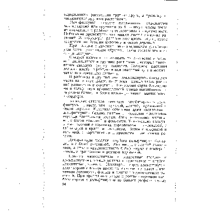 Декоративны посадки голубого дельфиниума белладонна с белой ромашкой, лилиями и с желтой аквилегией, а синего крупноцветного дельфиниума с гейхерой, красным гравилатом и розовой вероникой.