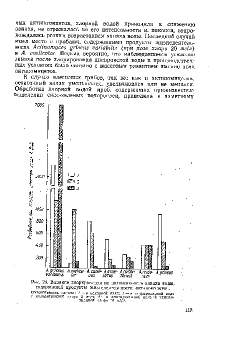 Влияние хлорирования на интенсивность запаха воды, содержащей продукты жизнедеятельности актиномицетов. Интенсивность запаха