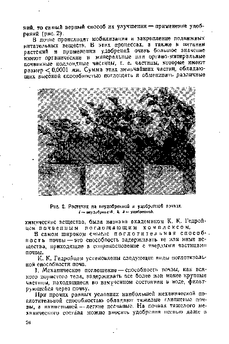 Растения на неудобренной и удобренной почвах.