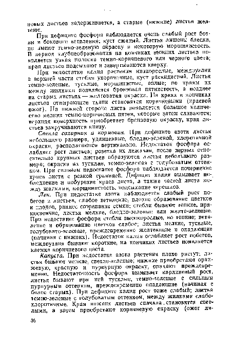 При недостатке калия растения низкорослые, междоузлия в верхней части стебля укороченные, куст раскидистый. Листья темно-зеленые, тусклые, морщинистые, вялые; по кпяям их между жилками появляется бронзовая пятнистость, а позднее на старых листьях — желтоватая окраска. На краях и кончиках листьев отмирающие ткани становятся коричневыми (краевой ожог). На нижней стороне листа появляется большое количество мелких темно-коричневых пятен, которые затем сливаются; верхняя поверхность приобретает бронзовую окраску, края листьев закручиваются книзу.