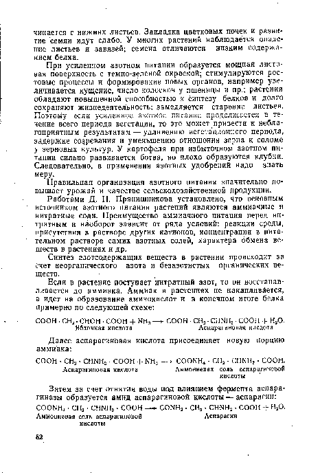 Работами Д. Н. Прянишникова установлено, что основным источником азотного питания растений являются аммиачные и нитратные соли. Преимущество аммиачного питания перед нитратным и наоборот зависит от ряда условий: реакции среды, присутствия в растворе других катионов, концентрации в питательном растворе самих азотных солей, характера обмена веществ в растениях и др.