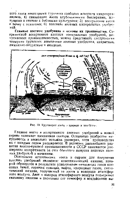 Круговорот азота в природе и хозяйстве.