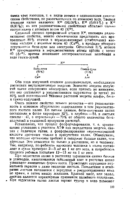 При недостатке калия в растениях тормозится синтез белков и углеводов, накапливается небелковый азот и растения плохо усваивают аммиачные формы азота. Происходит нарушение нормальной окраски и даже опадение листьев. Пожелтение и отмирание листьев начинается с верхушки и распространяется вниз по краям, а затем между жилками. Краевой ожог, или запал, листьев является характерным признаком калийного голодания.