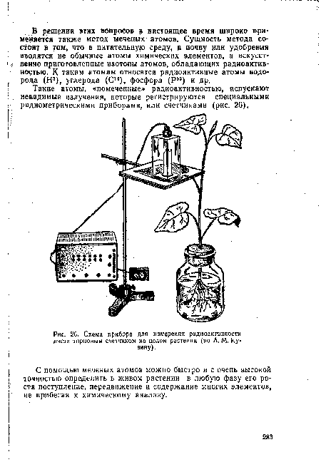 Схема прибора для измерения радиоактивности листа торцовым счетчиком на целом растении (по А. М. Кузину).