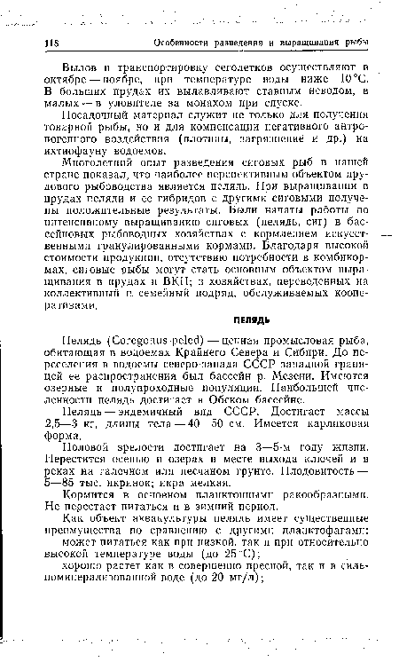 Многолетний опыт разведения сиговых рыб в нашей стране показал, что наиболее перспективным объектом прудового рыбоводства является пелядь. При выращивании в прудах пеляди и ее гибридов с другими сиговыми получены положительные результаты. Были начаты работы по интенсивному выращиванию сиговых (пелядь, сиг) в бассейновых рыбоводных хозяйствах с кормлением искусственными гранулированными кормами. Благодаря высокой стоимости продукции, отсутствию потребности в комбикормах, сиговые рыбы могут стать основным объектом выращивания в прудах и ВКН; в хозяйствах, переведенных на коллективный и семейный подряд, обслуживаемых кооперативами.