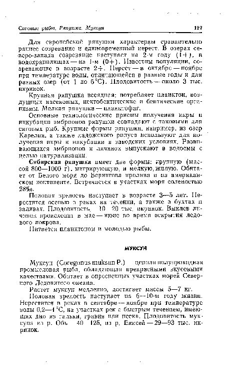 Сибирская ряпушка имеет две формы: крупную (массой 800—1000 г), мигрирующую, и мелкую,жилую. Обитает от Белого моря до Берингова пролива и на американском континенте. Встречается в участках моря соленостью 28%о.