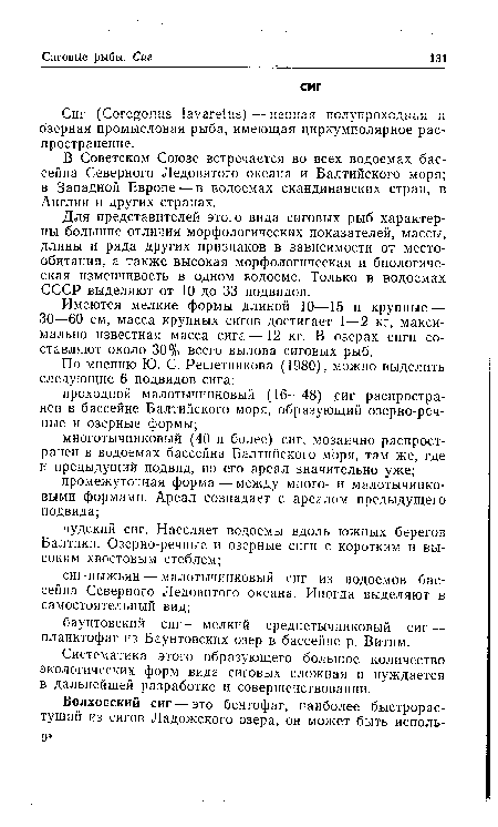 Для представителей этого вида сиговых рыб характерны большие отличия морфологических показателей, массы, длины и ряда других признаков в зависимости от местообитания, а также высокая морфологическая и биологическая изменчивость в одном водоеме. Только в водоемах СССР выделяют от 10 до 33 подвидов.