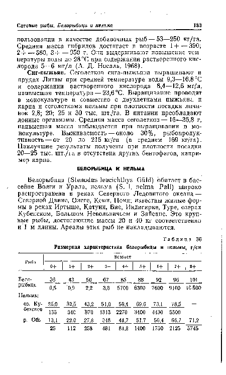 Белорыбица (Stenodus leucichthys Güld) обитает в бассейне Волги и Урала, нельма (S. 1. nelma Pali) широко распространена в реках Северного Ледовитого океана — Северной Двине, Онеге, Кеми, Пони; известны жилые формы в реках Иртыше, Катуни, Бие, Индигирке, Туре, озерах Кубенском, Большом Невольничьем и Зайсане. Это крупные рыбы, достигающие массы 20 и 40 кг соответственно и 1 м длины. Ареалы этих рыб не накладываются.