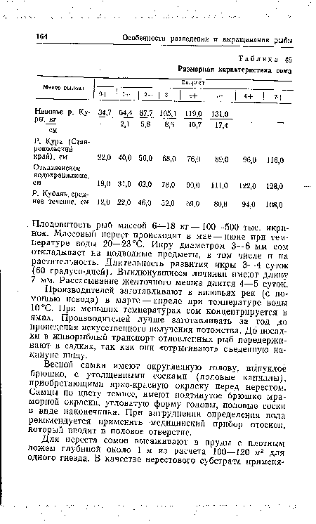 Весной самки имеют округленную голову, выпуклое брюшко, с утолщенными сосками (половые капиллы), приобретающими ярко-красную окраску перед нерестом. Самцы по цвету темнее, имеют подтянутое брюшко мраморной окраски, угловатую форму головы, половые соски в виде наконечника. При затруднении определения пола рекомендуется применять медицинский прибор отоскоп, который вводят в половое отверстие.