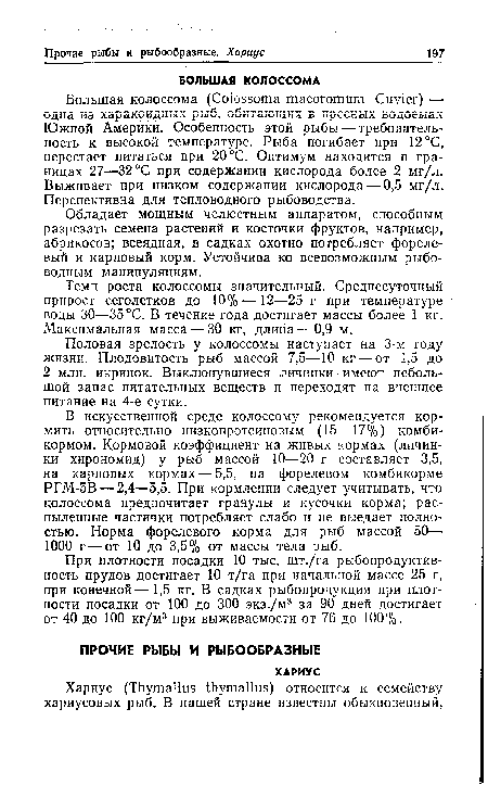 Темп роста колоссомы значительный. Среднесуточный прирост сеголетков до 10% — 12—25 г при температуре воды 30—35 °С. В течение года достигает массы более 1 кг. Максимальная масса — 30 кг, длина — 0,9 м.